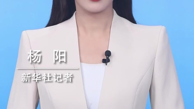 数据可视化在Excel中的应用：优势与局限解析